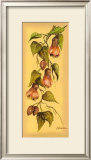 Buy Flores Colgantes II at AllPosters.com