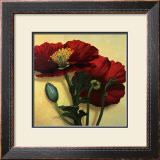 Buy Poppies at AllPosters.com