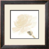 Buy Carnation I at AllPosters.com