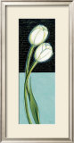 Buy White Tulip at AllPosters.com