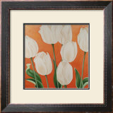 Buy White Tulips at AllPosters.com
