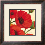 Buy Hawaiian Poppies at AllPosters.com