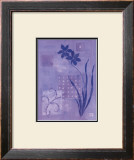 Buy Iris Series III, Lobelia at AllPosters.com