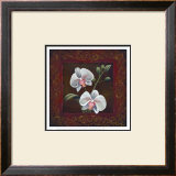 Buy Orchid Study II at AllPosters.com