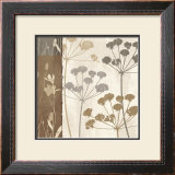 Buy Flowers and Ferns I at AllPosters.com