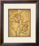 Buy Pencil Sketch Floral II at AllPosters.com
