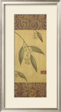 Eucalyptus Leaves I