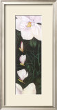 Time of Flowering IV