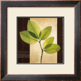 Buy Lucent Leafs at AllPosters.com