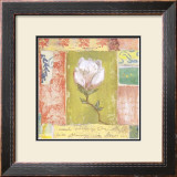 Buy Magnolia Bud at AllPosters.com