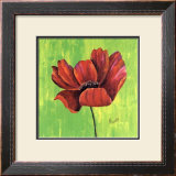 Buy Un Amour de Cosmos at AllPosters.com