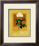 Buy Long Stem Rose at AllPosters.com