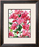 Buy Pink Border Beauty at AllPosters.com