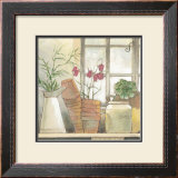 Buy Flower Pots at AllPosters.com