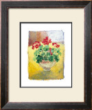 Buy Primula at AllPosters.com