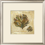 Hornwrack