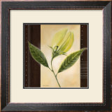 Buy Dancing Leafs at AllPosters.com