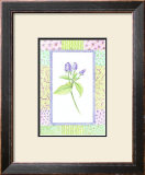 Patchwork Botanical II