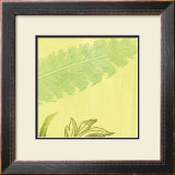 Buy Feather Leaf at AllPosters.com