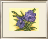 Buy Vibrant Orchid III at AllPosters.com