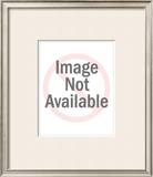 Buy Iris Series IV, Campanula at AllPosters.com