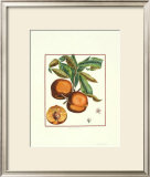 Buy Teton de Venus at AllPosters.com
