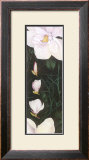 Time of Flowering IV