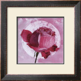 Rose Sur Pois Blanc