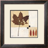 Buy Indian Summer at AllPosters.com