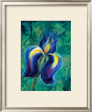 Buy Iris II at AllPosters.com