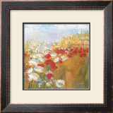 Poppies and Larkspur II