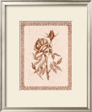 Buy Sepia Rose II at AllPosters.com