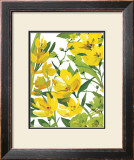 Buy Yellow Border Beauty at AllPosters.com