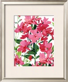 Buy Pink Border Beauty at AllPosters.com