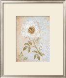 Buy Wedding Rose I at AllPosters.com