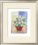 Buy Chrysanthemum at AllPosters.com