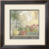 Buy Orchid at AllPosters.com