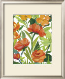 Buy Orange Border Beauty at AllPosters.com