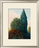 Buy Tuscan Trees II at AllPosters.com