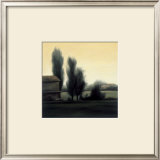 Buy Farm in Emilia Romagna at AllPosters.com