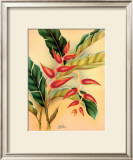 Buy Heliconia at AllPosters.com