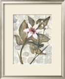Buy Amazonia IV at AllPosters.com