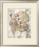 Buy Amazonia II at AllPosters.com