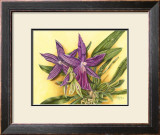 Buy Vibrant Orchid IV at AllPosters.com