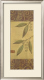 Eucalyptus Leaves II