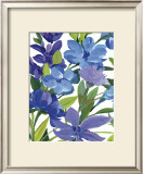Buy Periwinkle Border Beauty at AllPosters.com
