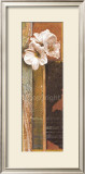 Buy Ode to Anna I at AllPosters.com