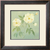 Buy Abundant Rose II at AllPosters.com