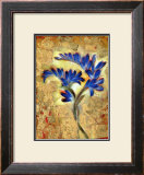 Buy Fresia at AllPosters.com