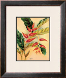 Buy Heliconia at AllPosters.com